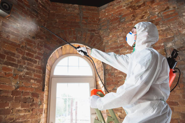 Best Environmental Consulting for Mold Prevention  in Buckeye Lake, OH